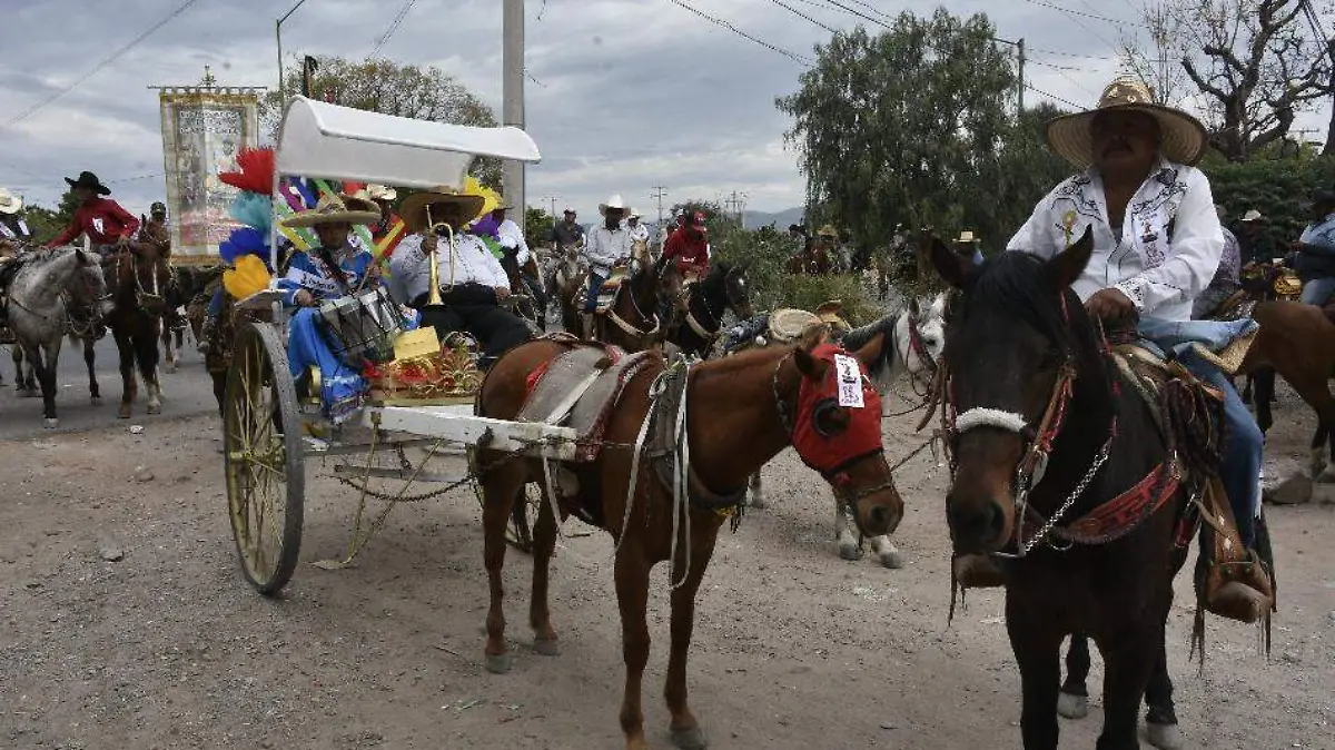 caballos (6) ok